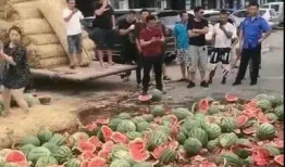 长垣吃瓜事件爆料入口,爆料入口背后的真相与争议